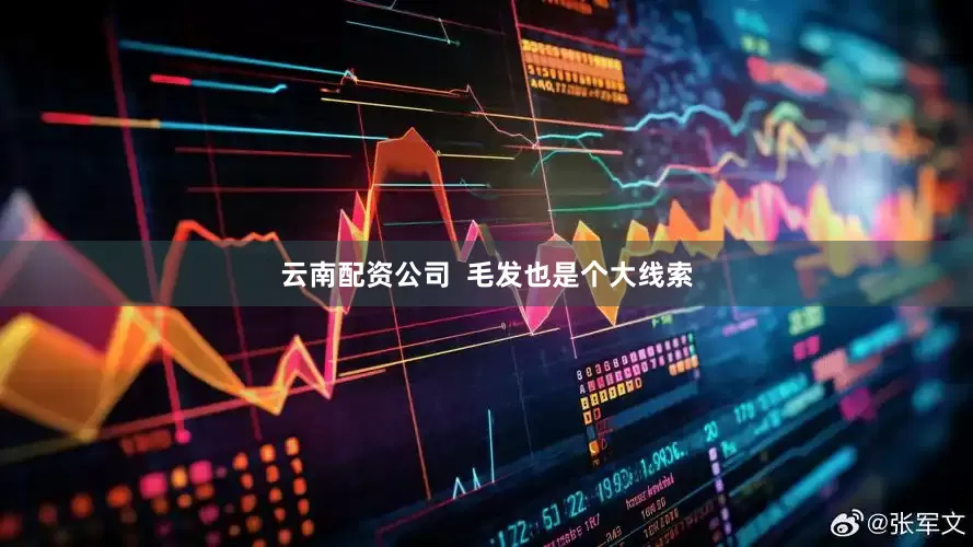 云南配资公司  毛发也是个大线索