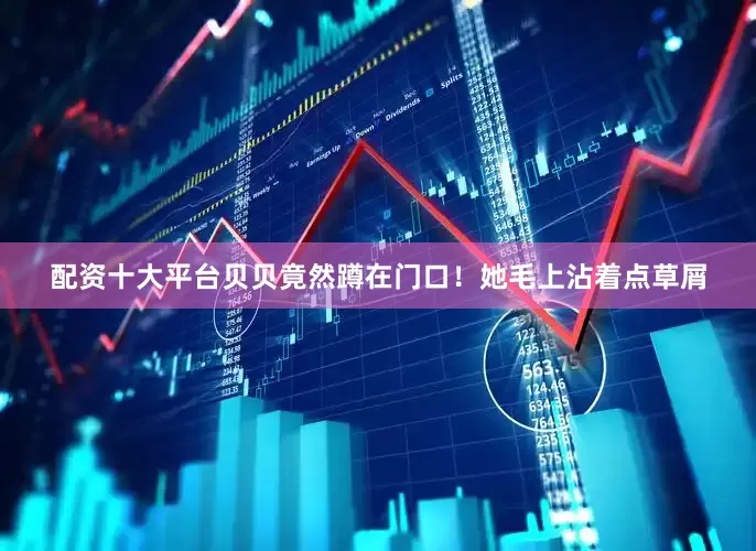 配资十大平台贝贝竟然蹲在门口！她毛上沾着点草屑