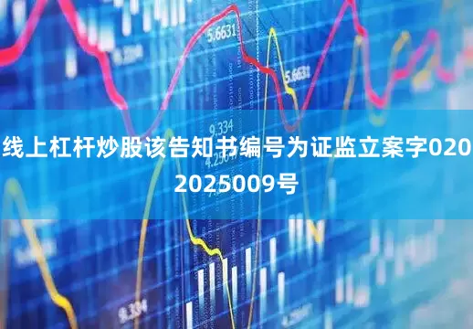 线上杠杆炒股该告知书编号为证监立案字0202025009号
