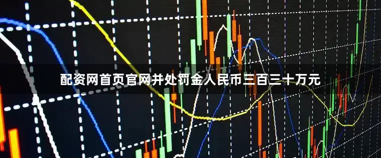 配资网首页官网并处罚金人民币三百三十万元